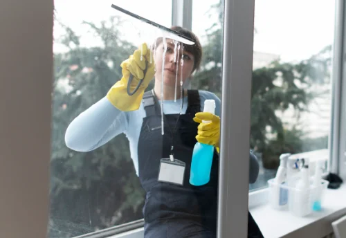 Nettoyage de vitres intérieures et extérieures à Pietroso